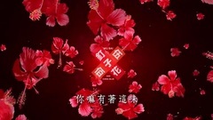 伍佰 - 钉子花