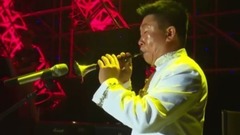 群星 - 一壶老酒