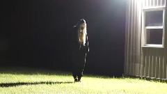 Animalia - Vitamins