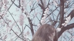Krystal(f(x)),Jessica - Let Her Go