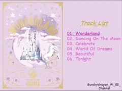 Jessica - [Mini Album]D (Jessica) – WONDERLAN歌词饭制合集版