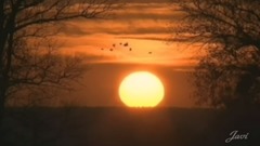 音乐短片 - 帕格尼尼主题拉赫曼尼诺夫悲秋