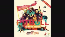 Pitbull - We