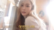 爱奇艺音乐榜 - 爱奇艺音乐榜韩语榜TOP30 2016/12/05-12/12