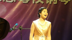 华语群星 - 美丽的家园