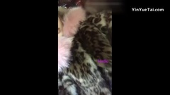 少女时代,孝渊(少女时代) - 孝渊INSTAGRAM STORY更新第一则