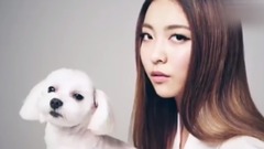 SM Town,孝渊(少女时代),强仁(Super Junior),Luna(f(x)),SUHO(EXO) - 韩国SM娱乐经济公司6位艺人携爱宠为我们Wkorea拍摄的视频