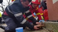 音乐短片 - Пожежний рятує життя собаки