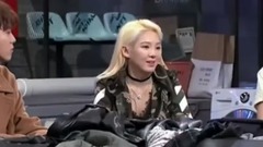 少女时代,孝渊(少女时代),IRENE(Red Velvet) - 孝渊和Irene的兴趣完全相反