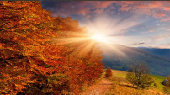 音乐短片 - 渡风