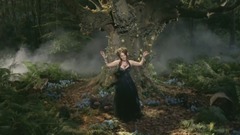 音乐短片 - 美丽的叶子