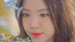 Apink,朴初珑(Apink),吴夏荣(Apink),孙娜恩(Apink),金南珠(Apink) - 星之星