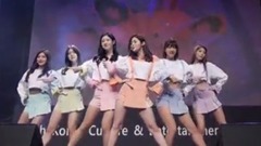 DIA - Mr.Potter