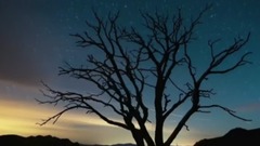 音乐短片 - 老爸