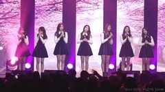 I.O.I - 如果樱花凋落