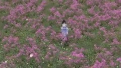 游戏原声 - 独立寒江