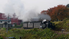 风景,音乐短片 - 日本长野县饭山市田野旁的蒸汽火车