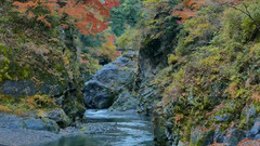 风景,音乐短片 - 日本奥多摩鸠之巢溪谷红叶美景