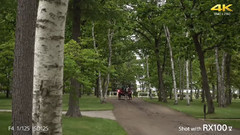 音乐短片 - 画质演示