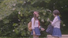 动漫专属,日本群星 - 『咲-Saki-』清澄高校麻雀部