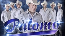 Palomo - En Esta Navidad