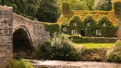 音乐短片 - East Of River Shannon