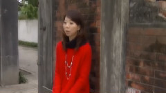 甲子蕙 - 疼惜