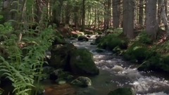 音乐短片 - 冬至暖阳