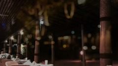 莫文蔚 - 北极光