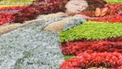 音乐短片 - The Garden