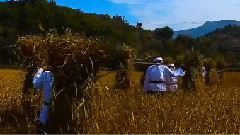 音乐短片 - 木子店蔸子火老米酒