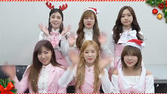 Apink - 2016 Christmas & Happy New year message