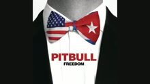 Pitbull - Freedom (Audio)