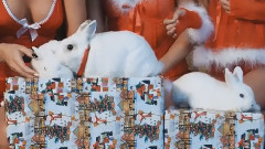 音乐短片 - Last Christmas