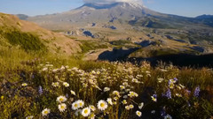 音乐短片 - 风韵