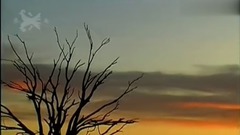 音乐短片 - 因为我爱你