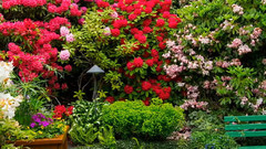 音乐短片 - 加拿大布查德花园