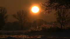 音乐短片 - 春野