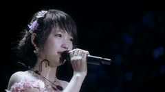 AKB48,SKE48,渡边麻友,柏木由纪,高桥南 - AKB48演唱会十周年精选重编 淡淡的忧伤