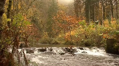 音乐短片 - Careless Whisper