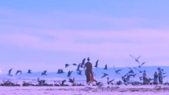 音乐短片 - Everlasting Love