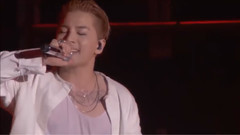 T.O.P(Bigbang),徐玄(少女时代),EXO,Ailee,GOT7 - 韩星演唱各种语言歌曲合集