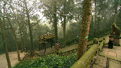 音乐短片 - 阿耨多罗三藐三菩提