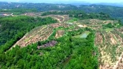 音乐短片 - 四川 巴中市全景