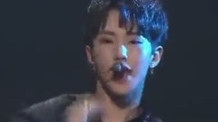 Seventeen - WILD EYES