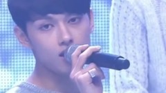Seventeen - Smile Flower&Boom Boom
