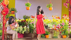 亚洲群星 - Nhạc Tết Khai Xuân Đon Lộc
