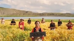 华语群星 - 我的祖国