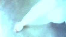 Bic Runga - Bursting Through