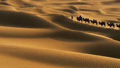 音乐短片 - Seduction